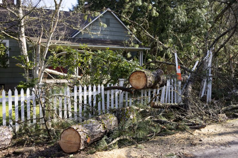 Tree Fallen on Residential Property