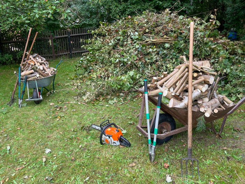 Clearing Fallen Trees