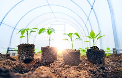 Seasonal Considerations