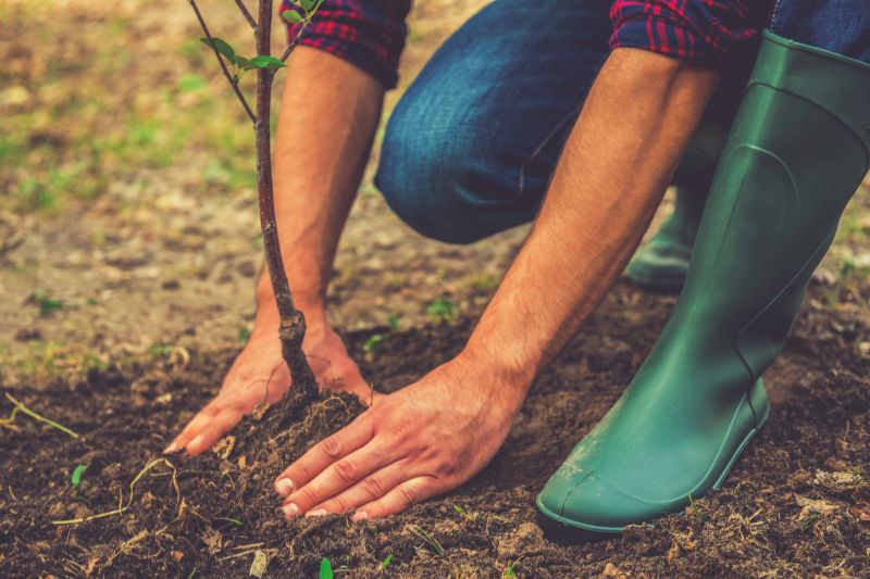 Environmental Benefits
