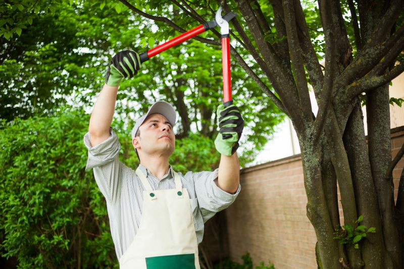 Root Pruning Equipment